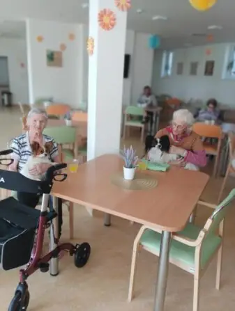 IMG_20250613_145740(2)