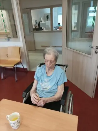 Obrázek WhatsApp, 2025-06-02 v 11.27.17_79b1daaa