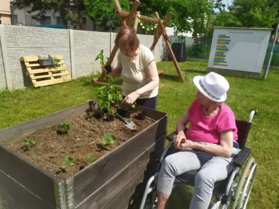 Obrázek WhatsApp, 2025-06-05 v 15.15.01_d1d6e57f