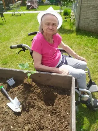 Obrázek WhatsApp, 2025-06-05 v 15.15.03_12dbfede