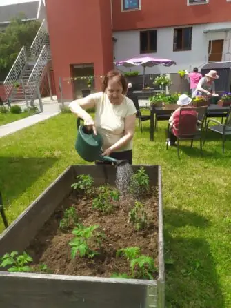 Obrázek WhatsApp, 2025-06-05 v 15.15.03_691ff72b