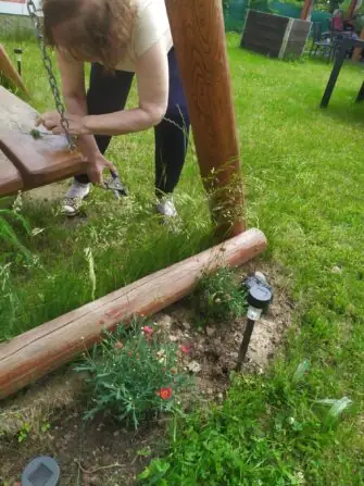 Obrázek WhatsApp, 2025-06-05 v 15.15.03_ee442f83