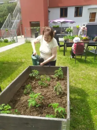 Obrázek WhatsApp, 2025-06-05 v 15.15.04_1c9c725a