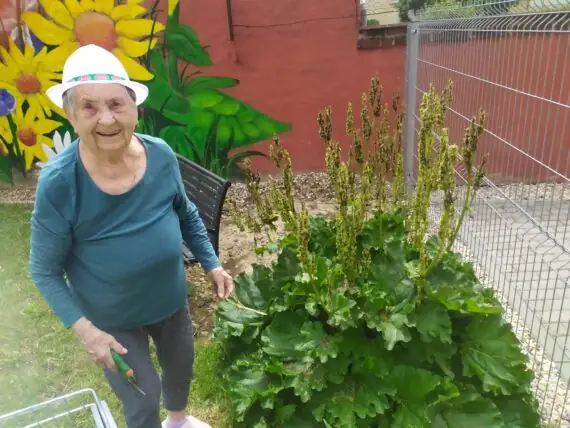 Obrázek WhatsApp, 2025-06-05 v 15.15.04_5f04b232