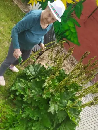 Obrázek WhatsApp, 2025-06-05 v 15.15.04_a91240b3