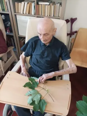 Obrázek WhatsApp, 2025-06-10 v 11.21.50_fc986e1c