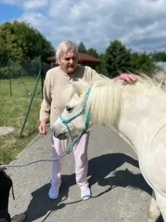 a8e41082-2c64-47c3-a2f3-537a6245485f