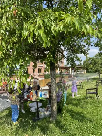 bbabf434-6c36-4b31-af76-e92b1ab69804