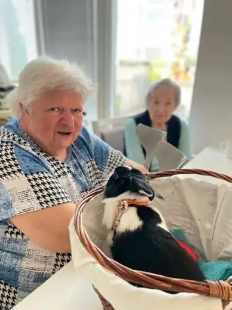 bbbc1b2b-4cb0-45e5-bccd-9e41809b579e