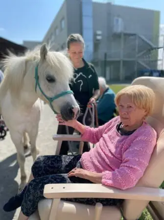 c80129cf-c1ce-41c6-8972-3f64c15eea90