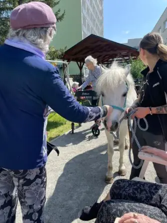 d1bba40b-296a-43a3-918c-d137bba2f49d