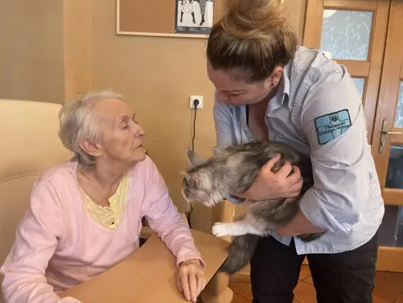 dcc7765e-e509-42bf-89a3-ec767d31a408