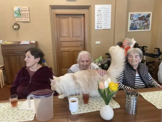 e3f5f159-c1f3-45f6-8127-ea536d96943a