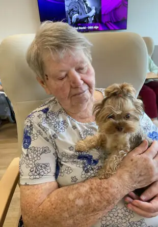 034b4019-2b80-4a3f-8a24-33e6eb3b3816