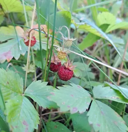 1f4632bf-f23d-4c08-bc5e-5330b4cb7b8b