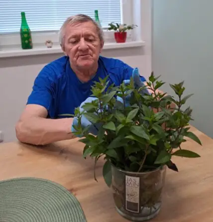 2c737ebd-455c-4c3e-9c62-a518847e2aea