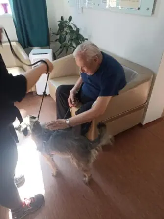 36553C5D-4618-4105-83A3-8D4AD0397BAA