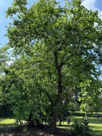 496515733_1252256219630570_715552200197970321_n