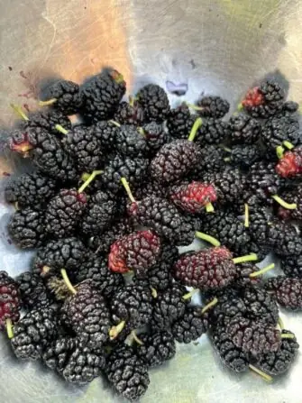 507350792_2127441504441307_6044941777181556667_n