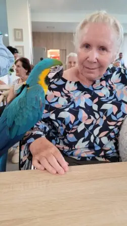 516550586_717019121041079_9215132634064111733_n