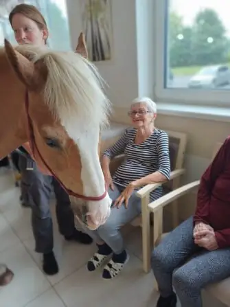 516758027_1162462859254080_3785226107501876408_n