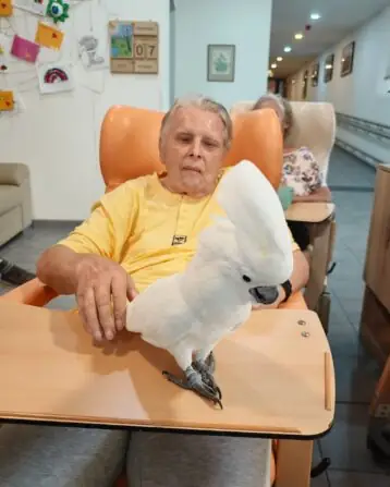 516847253_717018084374516_1783743373284006985_n