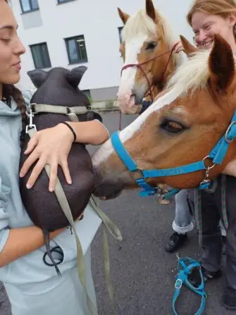 517599099_1162460522587647_6624989217766304717_n