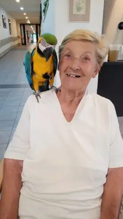 518138481_717019261041065_7744862043502107171_n