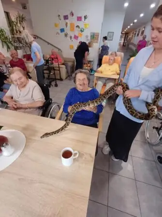 518202307_717019547707703_2249117701656670970_n