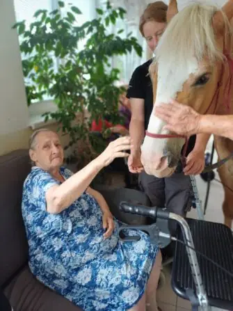 518342393_1162462262587473_8392429804612272414_n