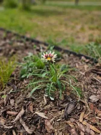 59742c2f-3007-461e-893a-53ccf1b4c964