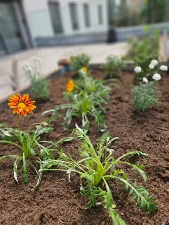 63776e29-dc99-4286-ae4b-c06da72a83f0