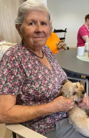 69eebf49-fcbd-4bad-a223-6b26da9b87b8