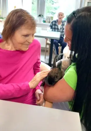 732dced7-9729-49e6-9b05-65c256f98882