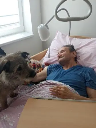 7E319996-5BD8-4D24-8EA4-6223FB58913F