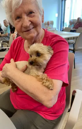 7e6d323a-f157-4166-839a-9367c2ac0d3c