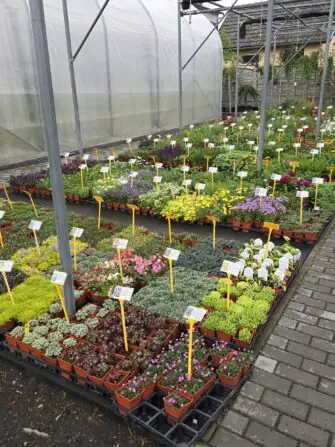 806d3ccd-8c69-4ded-acc0-2d2fabcfea80