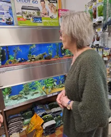 8272e033-4e69-4eda-a619-07868db730b5