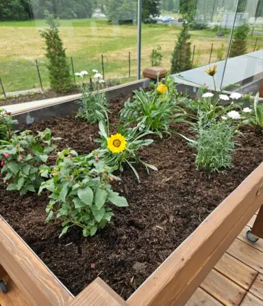 91270537-c01f-460b-9225-7c24e552530e