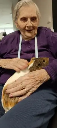 Obrázek WhatsApp, 2025-05-19 v 15.16.34_5b572581