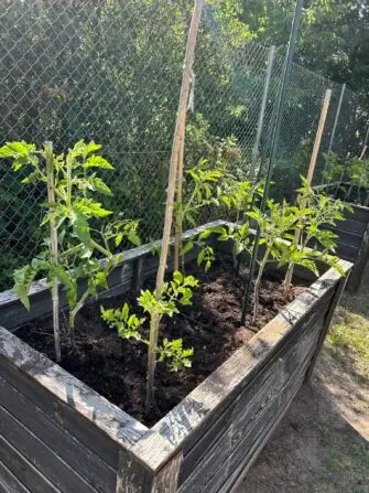 Obrázek WhatsApp, 2025-06-24 v 15.03.50_6203aab1