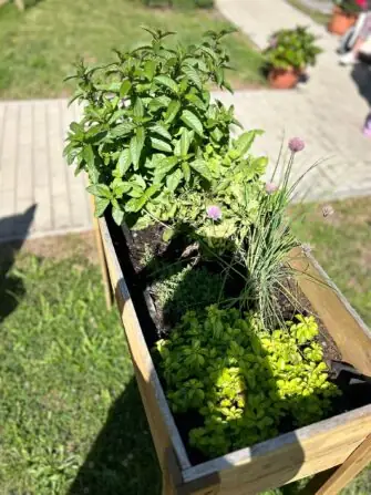 Obrázek WhatsApp, 2025-06-24 v 15.03.51_9293a2a4