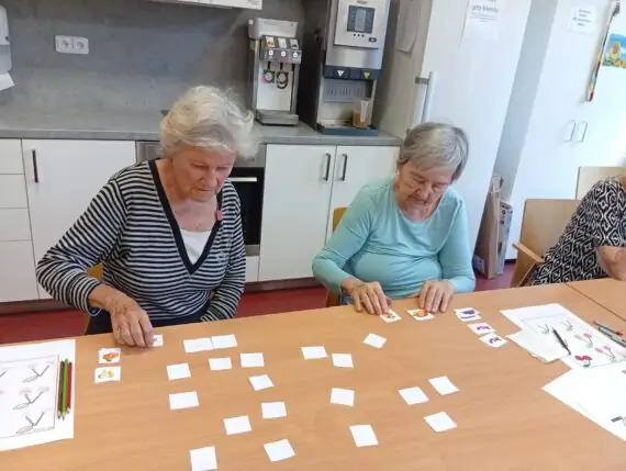 Obrázek WhatsApp, 2025-07-16 v 11.24.27_372a7539