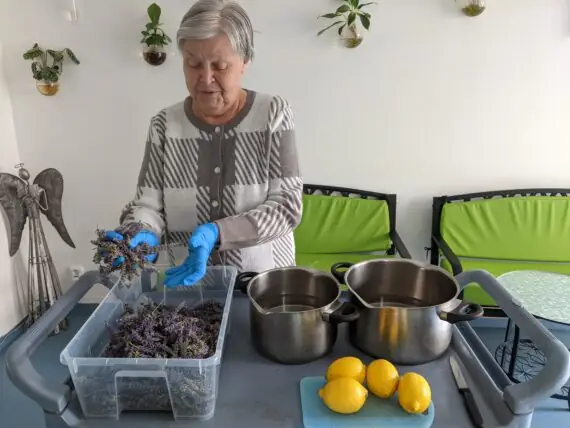 PXL_20250710_115912969