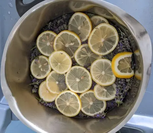 PXL_20250710_120156783