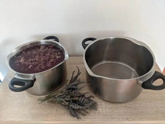 PXL_20250711_122925489