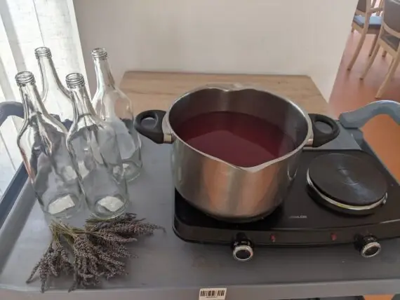 PXL_20250711_124206503