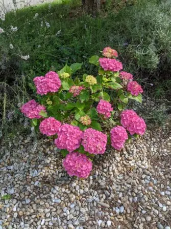 PXL_20250716_074135007