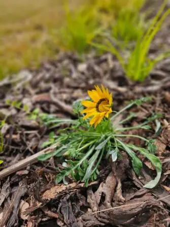 c15ea408-f1b3-4af1-87fb-7d7cc23e9b83