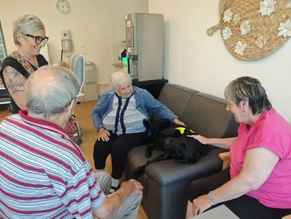 original-62527422-8B66-4A9B-B294-BBA11E33457B